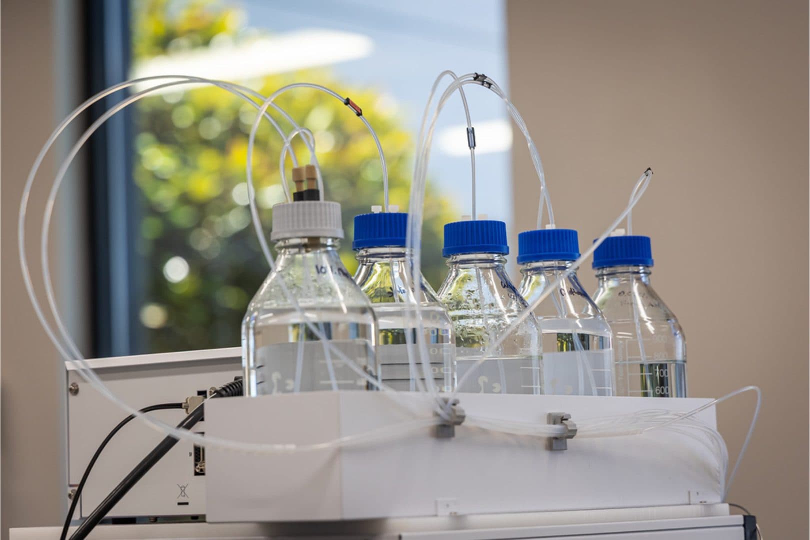 Laboratory bottles with blue caps connected by tubing to an instrument beside a sunny window