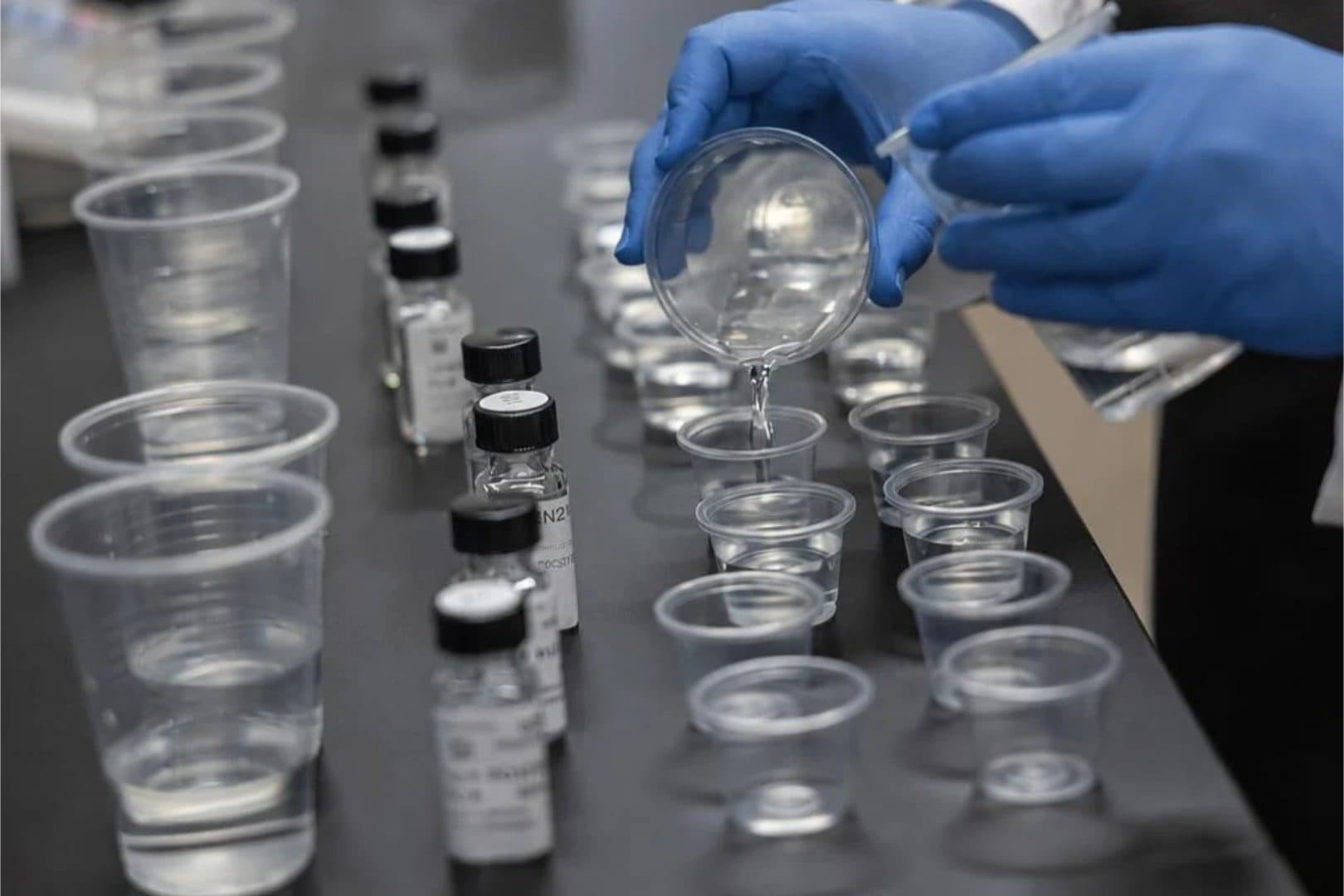 Gloved hands pouring a clear sample into rows of small tasting cups beside labeled vials